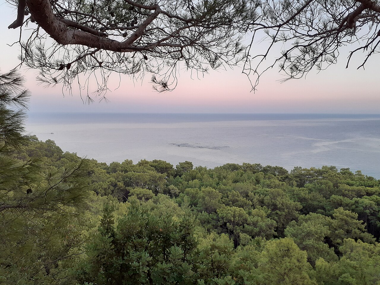 Photograph of Phaselis, Antalya